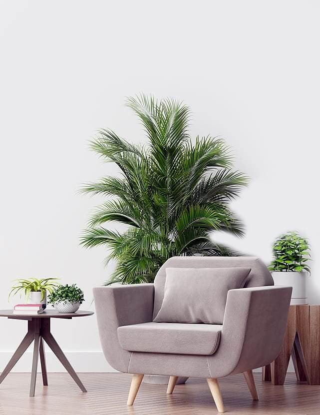 Home Living