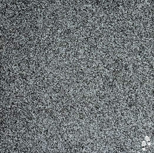 KleenStride - Carpet Mat 3